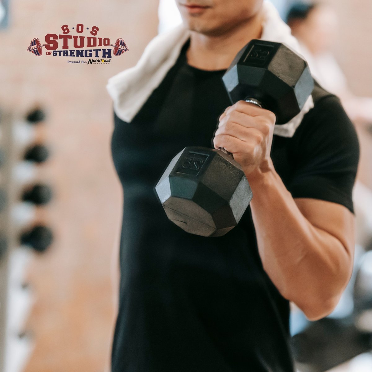 Muscle Gain Program